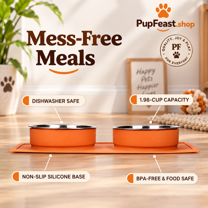 Double Stainless Steel Pet Bowls