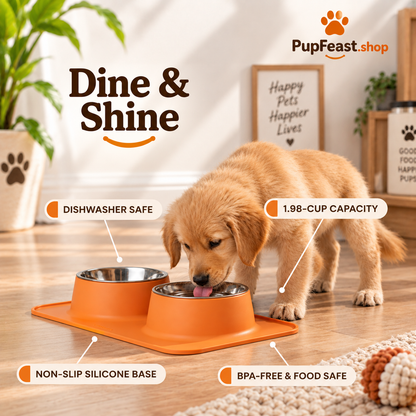 Double Stainless Steel Pet Bowls