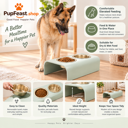 Elevated Double Pet Feeding Bowls